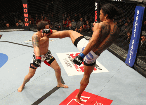 UFC17.gif