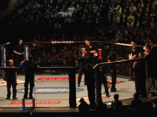 UFC40.gif