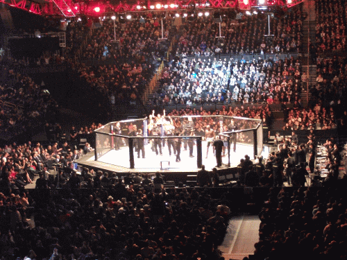 UFC8.gif