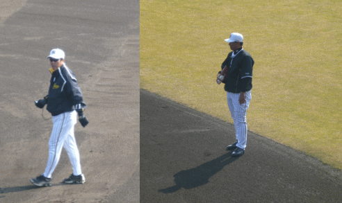 hanshin2.gif