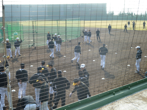 hanshin4.gif