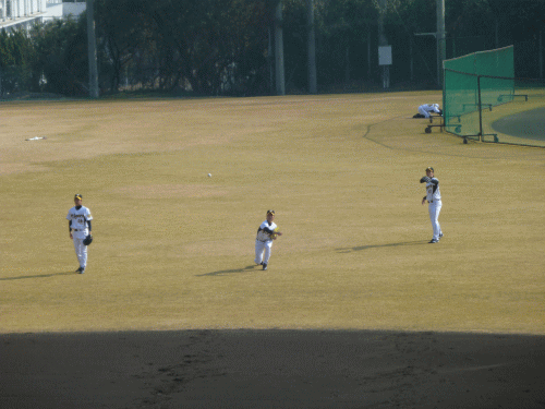 hanshin5.gif