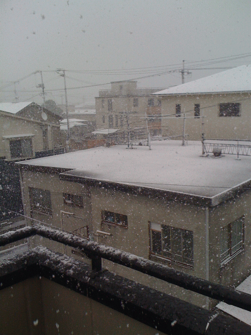 snow2.gif